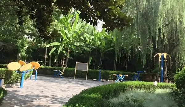 怎样可以申请深圳户口_从吃瓜到宣发，有多少人泡在B站影视区？ 有多少保护这段就受婚姻法律